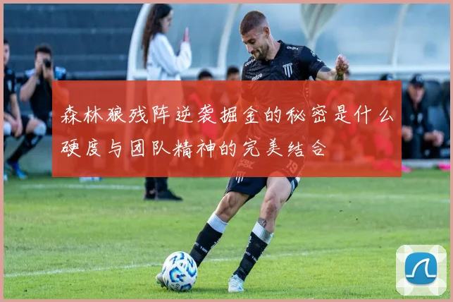森林狼残阵逆袭掘金的秘密是什么硬度与团队精神的完美结合