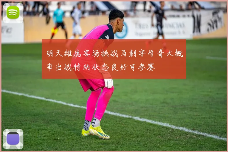 明天雄鹿客场挑战马刺字母哥大概率出战特纳状态良好可参赛