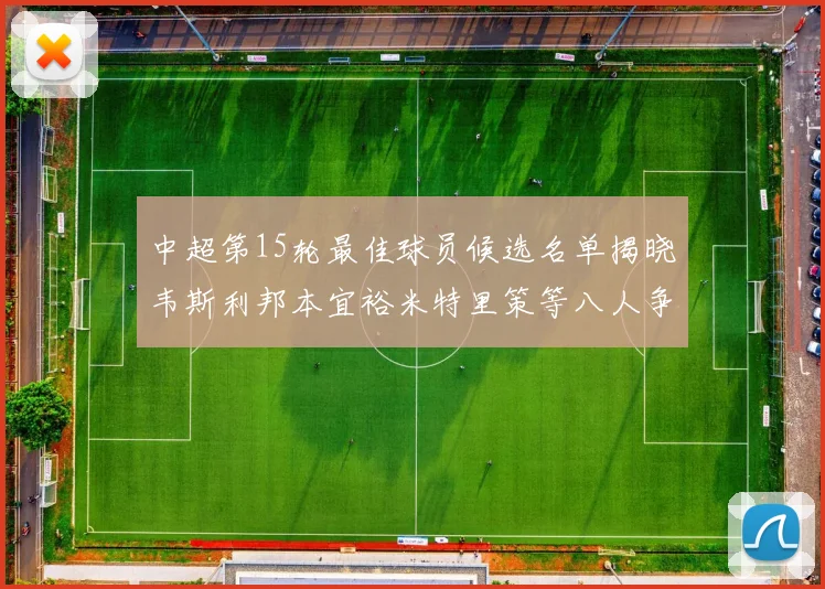 中超第15轮最佳球员候选名单揭晓韦斯利邦本宜裕米特里策等八人争夺荣誉